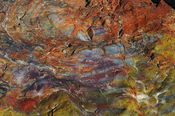 Kolorowe wzory w drewnie