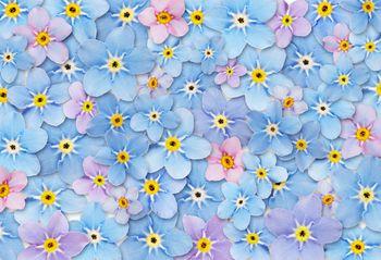 Kompozycja z niebieskich kwiatów