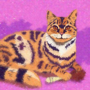 Kot na różowym tle - rysunek