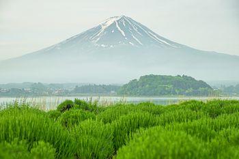 Mt Fuji o poranku w Kawaguchi. Japonia