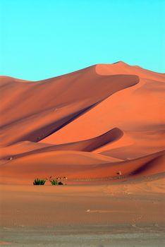 Pustynia Sahara. Maroko