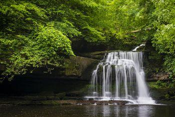 Wodospad i kaskady w Cauldron, Walden Beck, North Yorkshire, Anglia