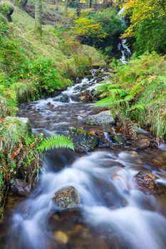  Wodospad, park narodowy Dartmoor