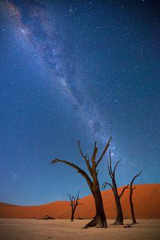 Mleczna Droga nad pustynią