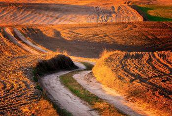 Piaszczysta droga wiejska na zaoranych polach wiosną