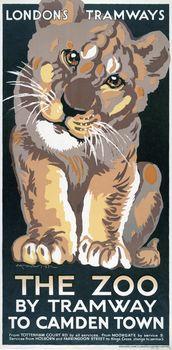 Plakat reklamujący tramwaj do zoo
