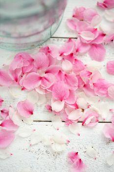 Płatki kwiatów na tle białego drewna