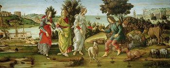 Judgement of Paris, Botticelli