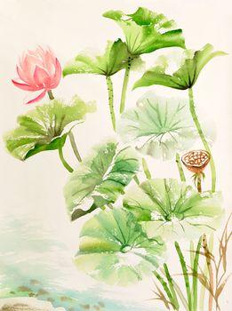 Różowy lotos wśród liści