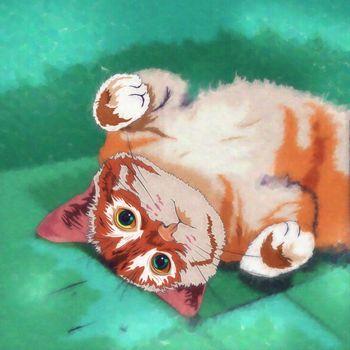 Rysunek domowego kota