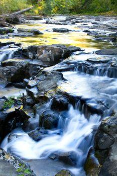 Rzeka w lesie o wschodzie słońca