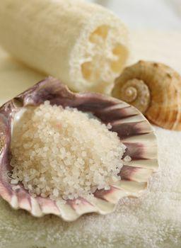 Sól morska w muszli