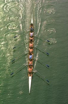 Trening drużyny kajakarskiej