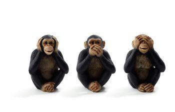 Trzy małpki mądrości