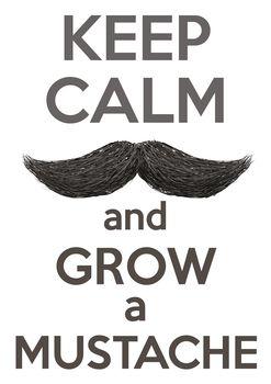 Keep calm and grow a mustache