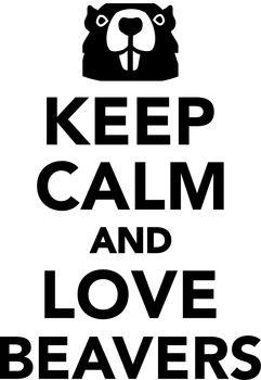 Keep calm and love beavers