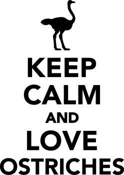 Keep calm and love ostriches