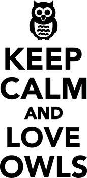 Keep calm and love owls