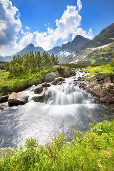 Wartki potok w Dolinie Gąsiennicowej