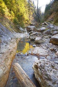 Wąwóz Homole w Pieninach