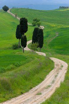 Wiejska ścieżka między polami