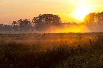 Wiosna w Kampinoskim Parku Narodowym w pobliżu Warszawy