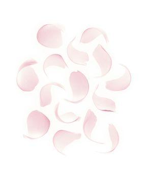 Wzór z różowych płatków