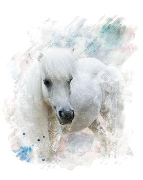 Biały koń - rysunek