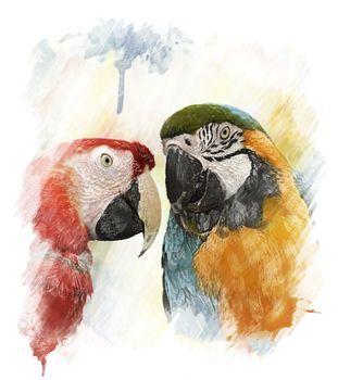 Dwie kolorowe papugi - rysunek