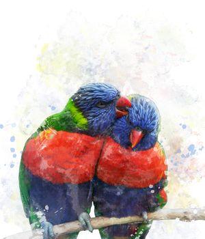 Dwie kolorowe papugi