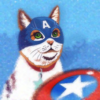 Kot umalowany na wzór kapitana Ameryka