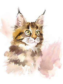 Maine Coon