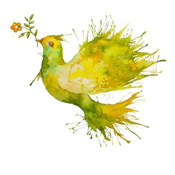 Obraz przedstawiający kolorowego gołębia