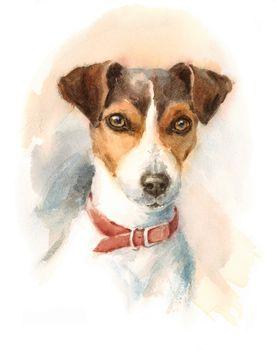 Obraz przedstawiający psa rasy Jack Russel Terrier