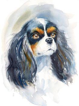 Obraz przedstawiający psa rasy King Charles Spaniel