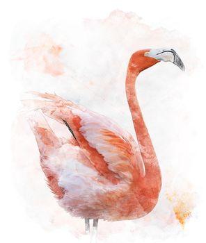 Rysunek czerwonego flaminga