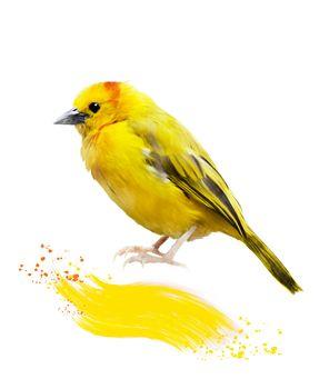 Żółty ptaszek