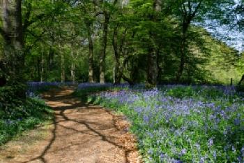 BB0CHK_EDITORIAL_HiRes