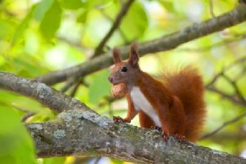 bew15D93CF_EDITORIAL_HiRes