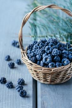 bew178DC96_EDITORIAL_HiRes