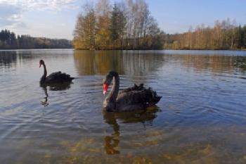 bew1A3EC16_EDITORIAL_HiRes-1