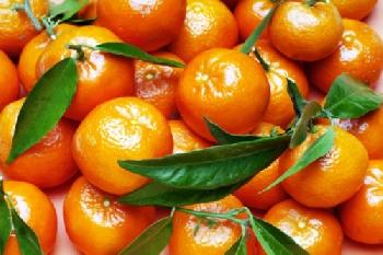 BEW1BB02081_EDITORIAL_HiRes