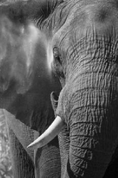 BEW1BE1F573_EDITORIAL_HiRes