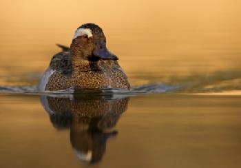 BEW1BF23888_EDITORIAL_HiRes-1