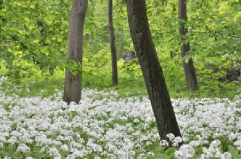 BEW1BF33EFD_EDITORIAL_HiRes