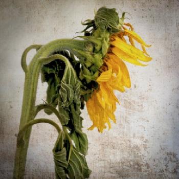 BEW1BF67D93_EDITORIAL_HiRes