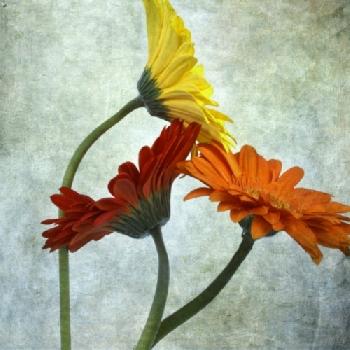 BEW1BF67DC0_EDITORIAL_HiRes