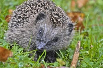 BEW1BFC619E_EDITORIAL_HiRes