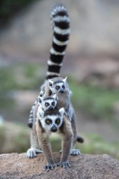 BEW1BFD1BF2_EDITORIAL_HiRes