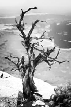 BEW1BFEED61_EDITORIAL_HiRes